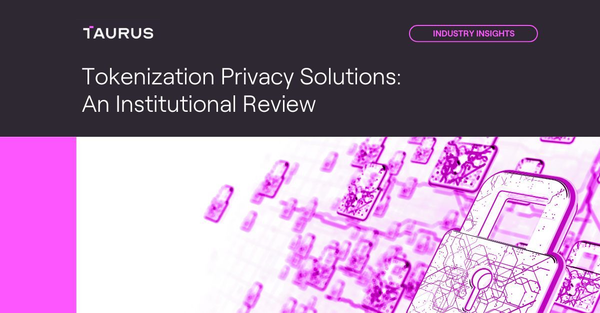 Tokenization Privacy Solutions: An Institutional Review