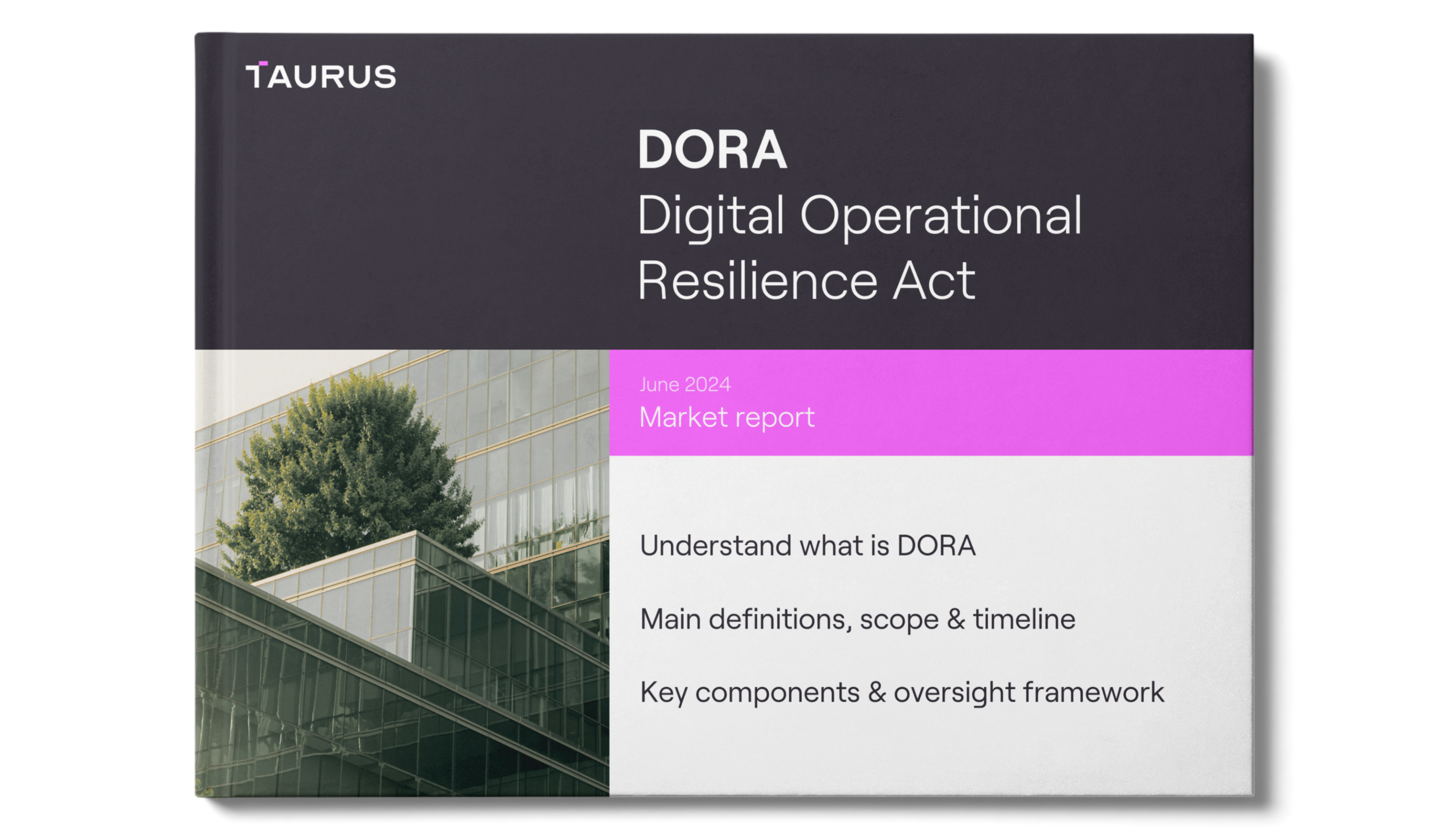 Taurus DORA report horizontal