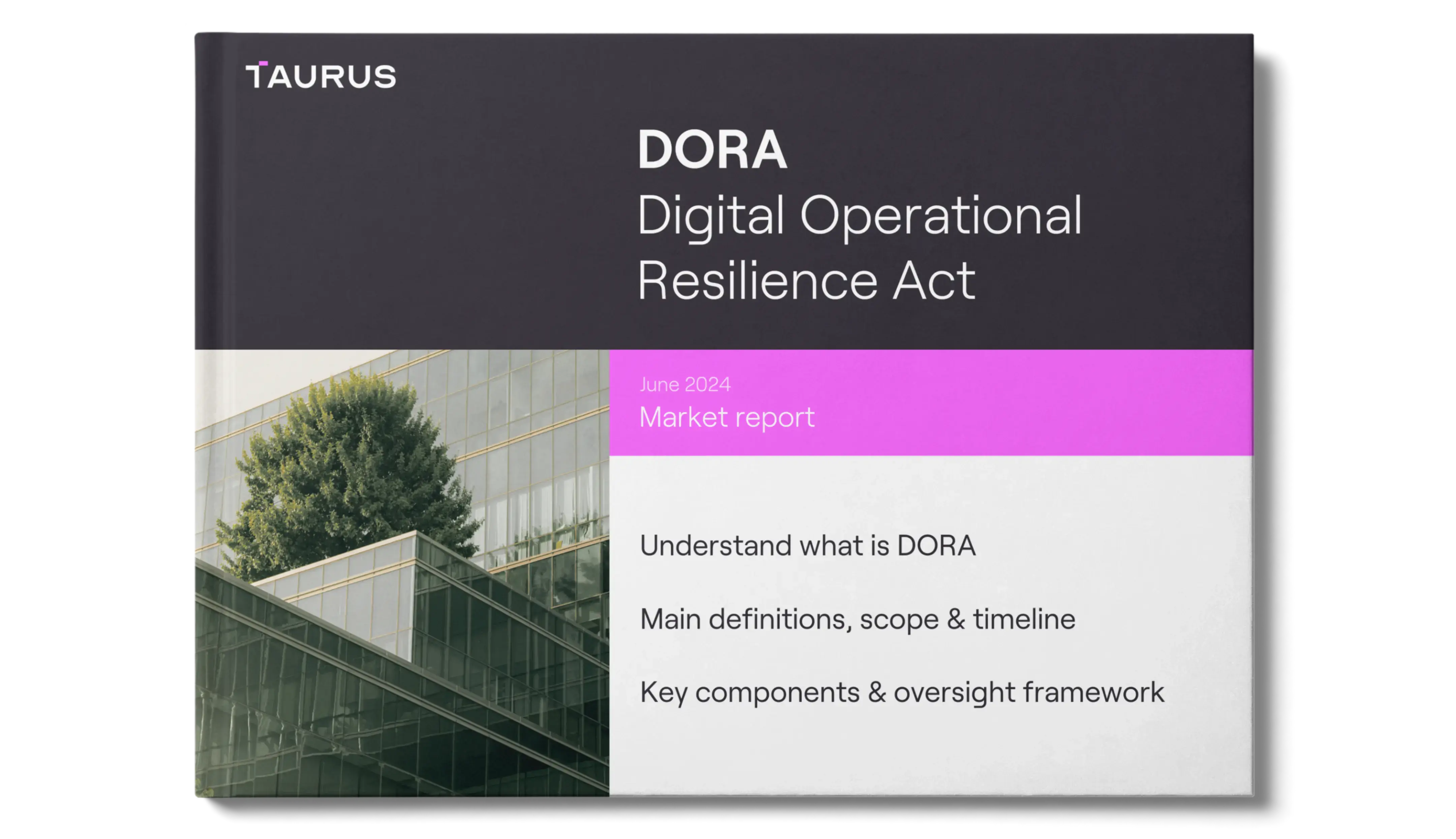 DORA: Digital Operational Resilience Act