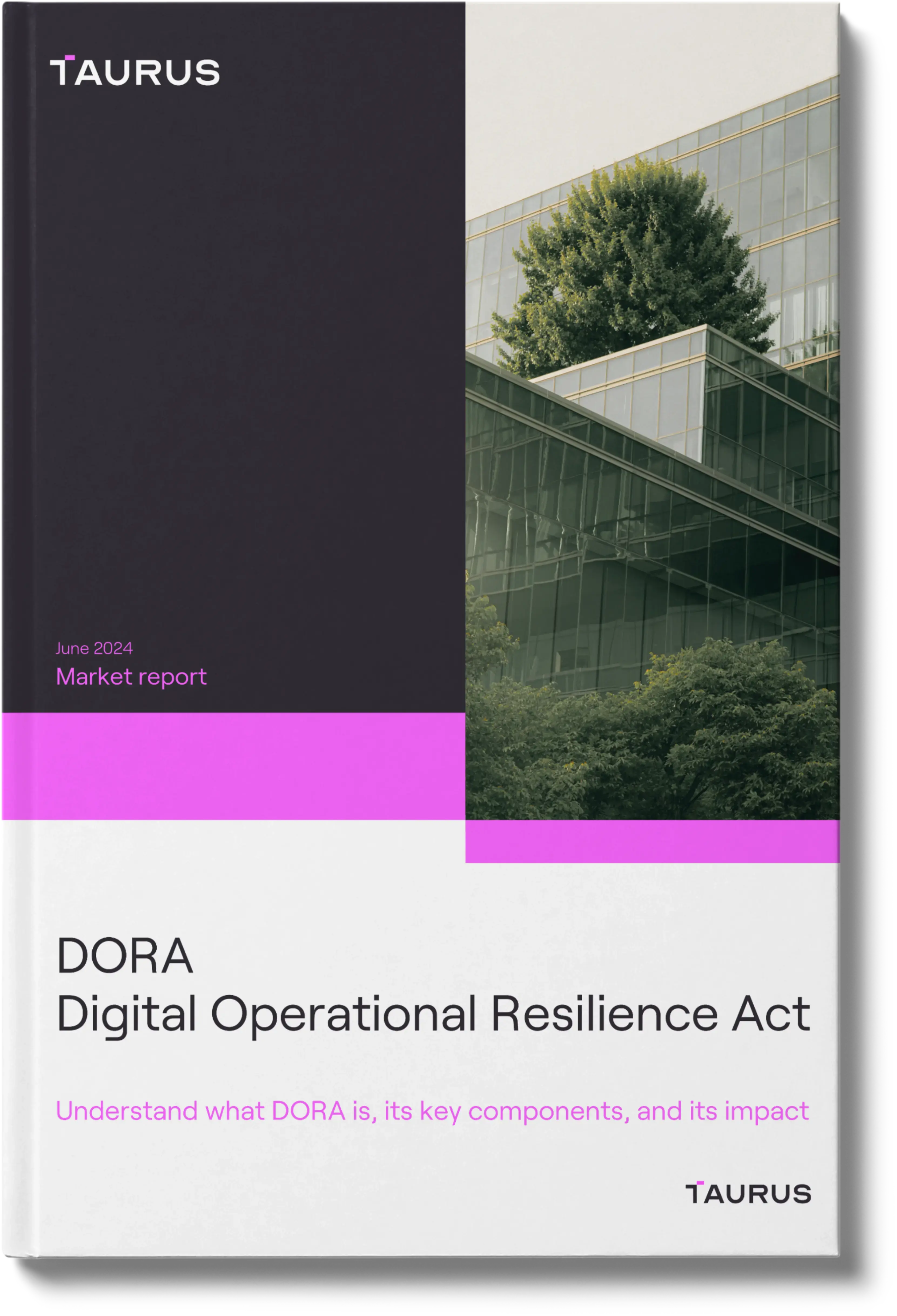 DORA: Digital Operational Resilience Act